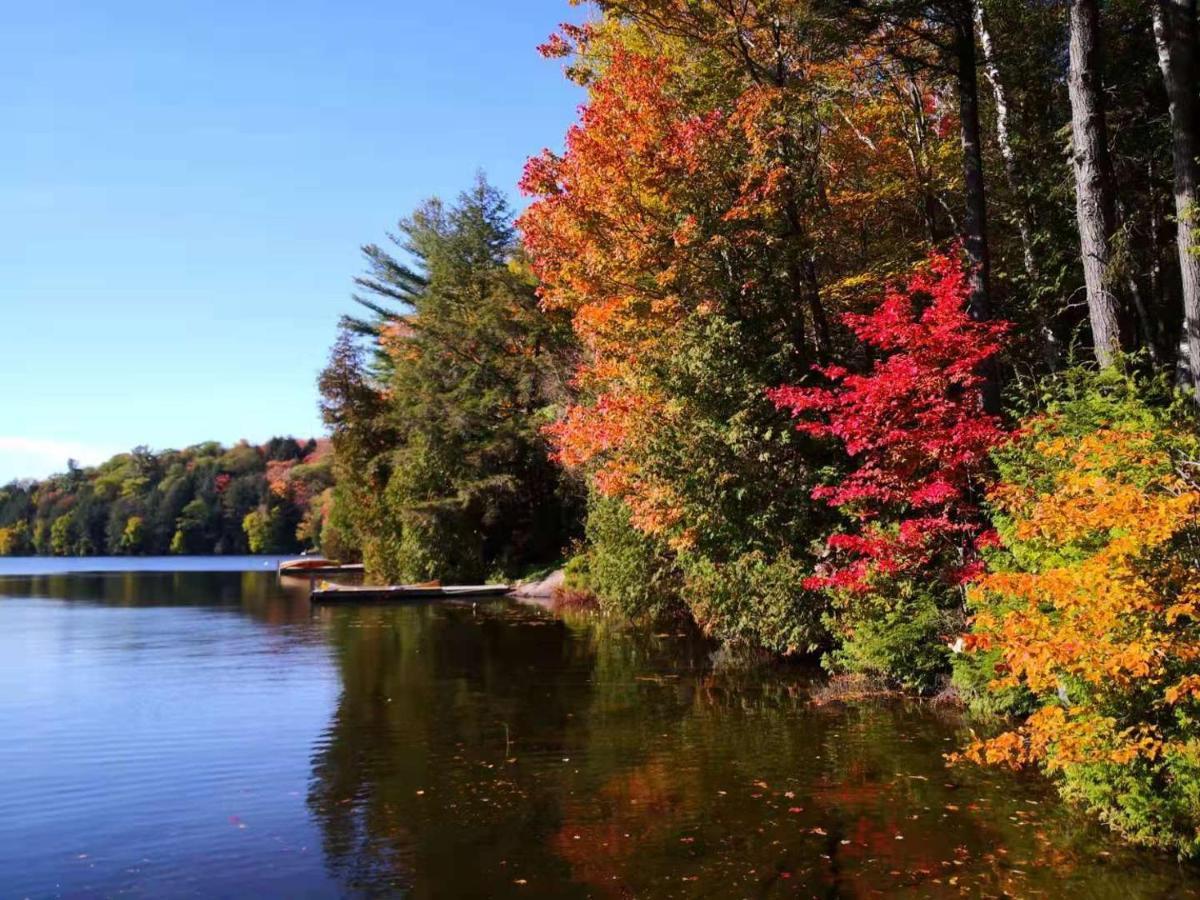 Sunny Point Resort Otter Lake Eksteriør bilde